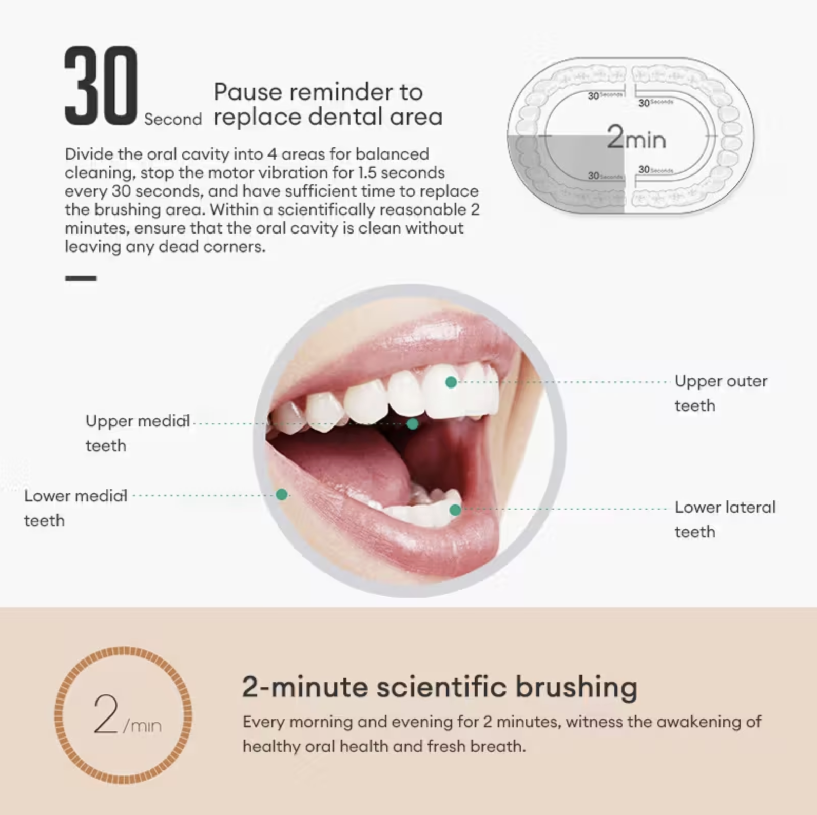 Cepillo de Dientes Eléctrico Sonic Recargable - Adultos y Niños - Image 4